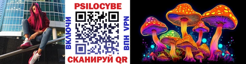 Псилоцибиновые грибы Psilocybe  закладки  Сухиничи 
